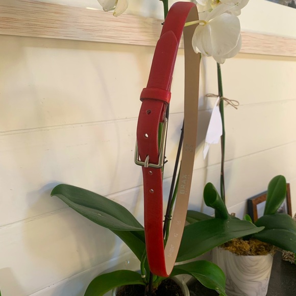 Brax red belt - Picture 2 of 7